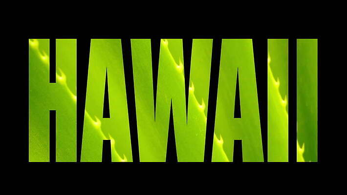 라이프스타일 남자 실루엣 스포츠 바다 여행 텍스트 하늘 날씨 휴가 열대 사람 사람없음 빨간색 단어 걷기 일몰 새벽 서핑보드 서핑 휴양지 복고 하와이 태평양 시들음 서퍼 소셜네트워크 옛날 파라다이스 필터 하와이인 많음 효과 MOV 해외동영상 클립영상 자연요소 외국인 문자 컬러 컨셉 모션 운동선수 촬영기법 생활 노을 미국 장소 수상스포츠 보드_스포츠 동영상 파일형식