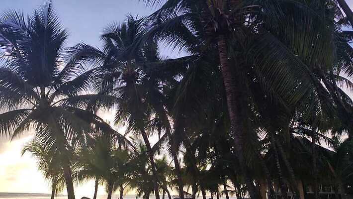 모래 바다 섬 여행 자연 하늘 휴가 휴식 멕시코 사람 사람없음 야외 초록색 파란색 태양 맑음 휴양지 하와이 발리 쿠바 몰디브 공화국 도미니카공화국 바하마 자메이카 칸쿤 파라다이스 4K MP4 해외동영상 클립영상 자연요소 나라 아시아 컬러 컨셉 북아메리카 날씨 미국 장소 남아메리카 중앙아메리카 생태계 인도네시아 동영상 파일형식