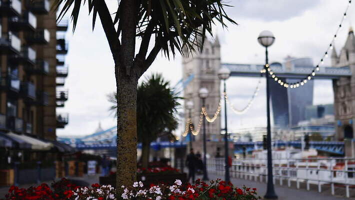 주간 나무 꽃 유럽 여행 건축양식 영국 잉글랜드 풍경 도시풍경 도시 런던 동영상 랜드마크 템스강 4K MOV 해외동영상 클립영상 자연요소 식물 건축 나라 강 파일형식