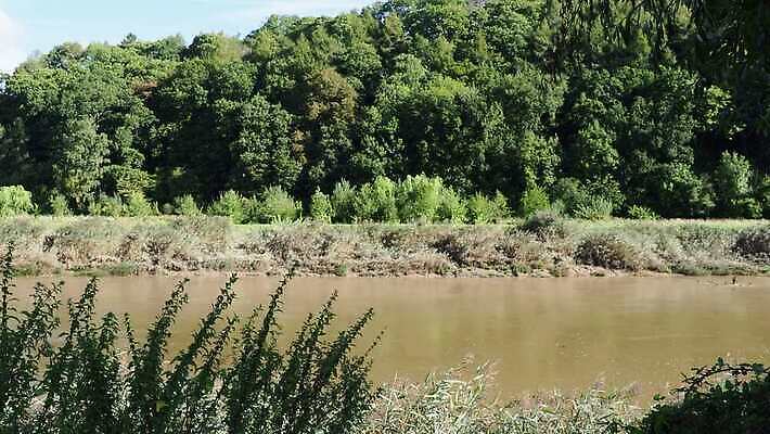 나무 식물 영어 유럽 자연 표시 영국 잉글랜드 웨일즈 파노라마 풍경 사람없음 물 강 흐름 장면 진흙 스카이라인 수녀원 유럽연합 국경 4K MP4 해외동영상 클립영상 자연요소 문자 나라 컨셉 촬영기법 생태계 동영상 파일형식