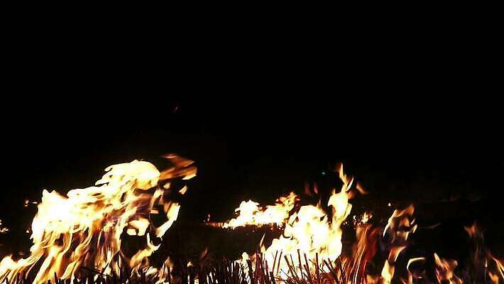 백그라운드 오렌지 모션 자연 벽지 불꽃 따뜻함 사람없음 빨간색 빛 노란색 검은색 힘 에너지 긴급 손전등 뜨거움 고리 더위 야간 위험 모닥불 사건 묘사 벽난로 질감 매움 화재 연료 파열 연소 엘리먼트 점화 지옥 진짜 화상 4K HD MP4 해외동영상 클립영상 자연요소 컬러 컨셉 과일 불 날씨 조명 맛 상처 생태계 동영상 파일형식