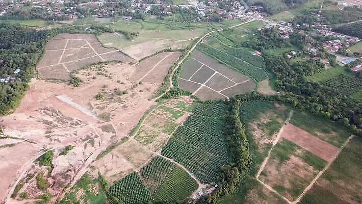 식물 길 지구 잎 밭 농업 채소 자연 안테나 손바닥 풍경 사람없음 야외 초록색 농작물 글로벌 농장 환경 정원 흙 봄 성장 소나무 땅 먼지 자원 말레이시아 내추럴 땅바닥 아마존 4K MOV 해외동영상 클립영상 나무 손 계절 산업 아시아 컬러 통신 바닥 생태계 동영상 파일형식