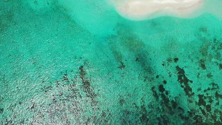 모래 파도 바다 섬 여행 자연 유리 하늘 휴가 풍경 사람없음 초록색 물 여름 모래사장 야자수 맑음 침묵 흰색 호주 보석 순수 하와이 태평양 멀리 말레이시아 내추럴 이국적 터키석 파라다이스 4K MP4 해외동영상 클립영상 자연요소 나무 계절 아시아 컬러 컨셉 재질 날씨 미국 소리 오세아니아 광석 생태계 동영상 파일형식