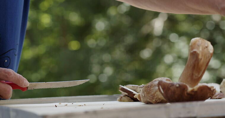 손 여자 음식 버섯 신선 그룹 칼 작음 큼 왕 자르기 청소 준비 곰팡이 그물버섯 번 페니 많음 4K MOV 해외동영상 클립영상 빵 컨셉 모션 사람 신체부위 동전 크기 동영상 파일형식