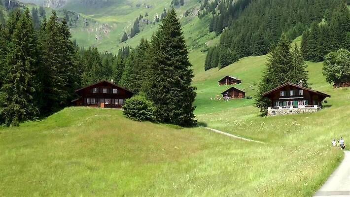 나무 자국 자연 산 파노라마 사람없음 초록색 평화 마을 계곡 소나무 고도 스위스 알프스 타운 베른 MP4 해외동영상 클립영상 식물 유럽 컬러 컨셉 촬영기법 도시 생태계 동영상 파일형식