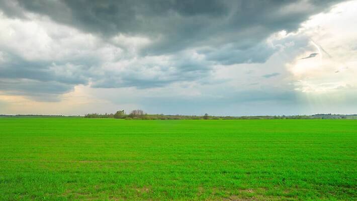 구름 계절 밭 자연 하늘 날씨 풍경 잔디 초원 사람없음 야외 초록색 여름 빛 햇빛 태양 농장 환경 어둠 봄 시골 땅 장면 폭풍 내추럴 넘어짐 뇌우 폭풍우 수평선 4K 타임랩스 MP4 해외동영상 클립영상 자연요소 식물 컬러 농업 모션 촬영기법 비_날씨 자연재해 생태계 동영상 파일형식