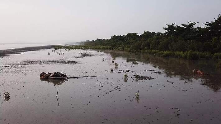 나무 실루엣 아시아 바다 백그라운드 오렌지 건조 사람없음 목재 물 관광지 빛 햇빛 태양 반사 일출 환경 일몰 흙 새벽 죽음 썰물 진흙 혼자 수평선 4K MOV 해외동영상 클립영상 자연요소 식물 나라 여행 과일 재료 촬영기법 노을 동영상 파일형식
