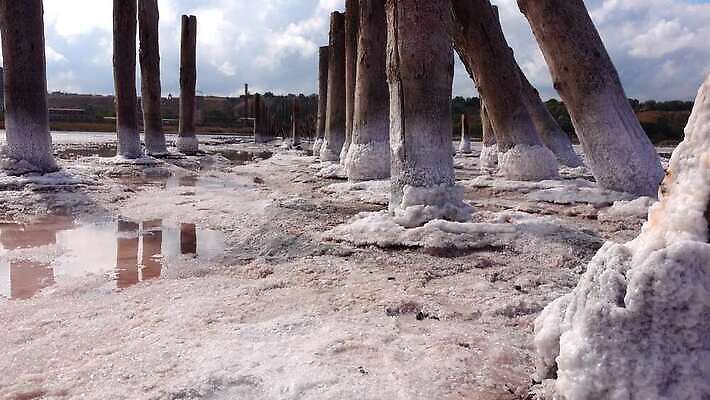 호수 바다 백그라운드 자연 사람없음 야외 물 흰색 약초 크리스탈 휴양지 진흙 결정체 지구온난화 내추럴 우크라이나 짠맛 오데사 4K MP4 해외동영상 클립영상 자연요소 유럽 컬러 장소 풀_식물 맛 광석 생태계 동영상 기후변화 파일형식