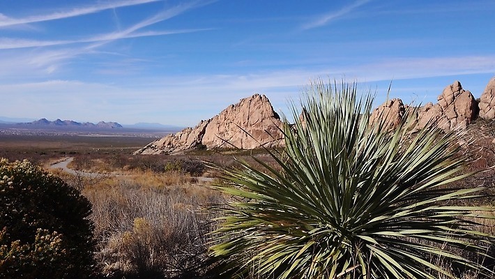 식물 공원 여행 자연 산 선인장 건조 파노라마 풍경 사람없음 빨간색 파란색 골짜기 계곡 미국 사막 보호 저녁 큼 사인 장면 지역 애리조나 전국 4K MP4 해외동영상 클립영상 공공시설 컬러 컨셉 북아메리카 촬영기법 야간 크기 생태계 동영상 파일형식