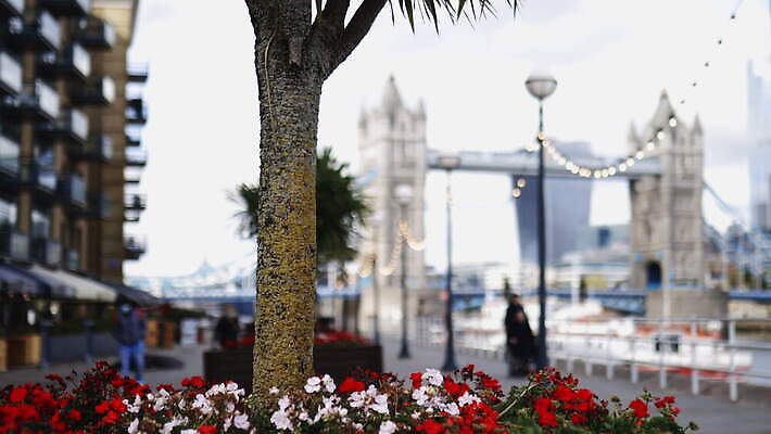 주간 나무 구름 꽃 유럽 상징 여행 건축양식 자연 하늘 아침 영국 잉글랜드 파노라마 풍경 사람없음 건물 물 빛 강 도시풍경 햇빛 고층빌딩 도시 역사 심볼 런던 스카이라인 동영상 천연기념물 랜드마크 수도권 왕국 템스강 4K MOV 해외동영상 클립영상 자연요소 식물 건축물 건축 나라 촬영기법 빌딩 태양 생태계 지역 파일형식