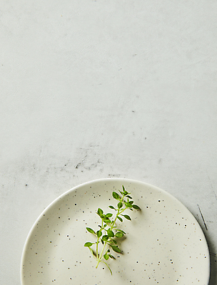 포토 JPG 접시 회색배경 실내 사람없음 하이앵글 허브 백리향 카피스페이스 국내포토 식물 식기 뷰포인트 백그라운드 내부 공백 회색 파일형식