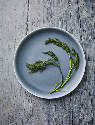 포토 JPG 접시 실내 사람없음 하이앵글 허브 딜 나무배경 국내포토 식물 식기 뷰포인트 백그라운드 내부 파일형식