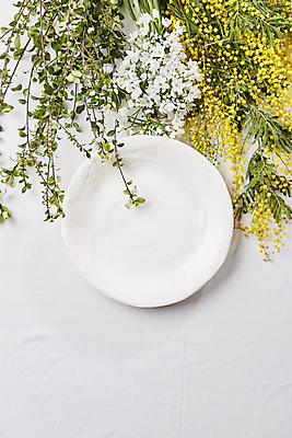 포토 JPG 접시 꽃 실내 사람없음 하이앵글 풀 흰배경 드라이플라워 국내포토 식물 식기 뷰포인트 백그라운드 내부 흰색 파일형식