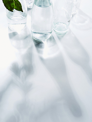 포토 JPG 백그라운드 잎 유리병 실내 그림자 사람없음 흰색 물병 흰배경 국내포토 식물 컬러 병_용기 내부 물통 파일형식