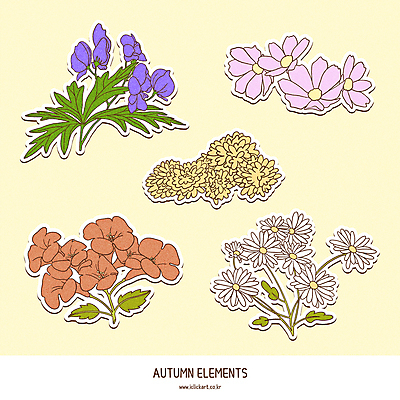 스티커 일러스트 국화 가을꽃 사람없음 세트 가을 코스모스 구절초 능소화 엘리먼트 투구꽃 국내일러스트 AI파일 계절 꽃 파일형식 벡터 가을_계절