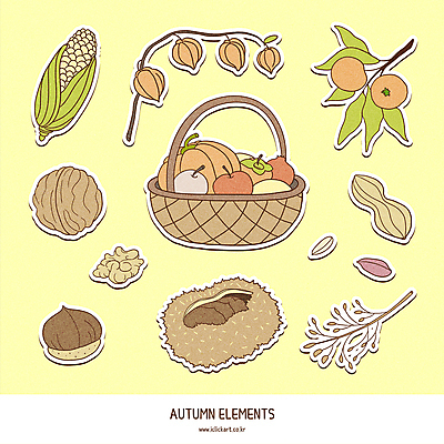 열매 스티커 과일 일러스트 호박 곡류 옥수수 사람없음 농작물 세트 바구니 견과류 벼 가을 밤 밤송이 땅콩 호두 꽈리 단감 엘리먼트 국내일러스트 AI파일 식물 계절 농업 채소 감 밤_견과류 파일형식 벡터