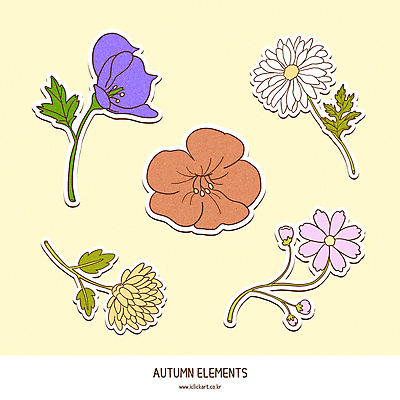 스티커 일러스트 국화 가을꽃 사람없음 세트 가을 코스모스 구절초 능소화 엘리먼트 투구꽃 국내일러스트 AI파일 계절 꽃 파일형식 벡터 가을_계절
