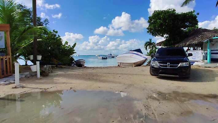 나무 식물 모래 바다 섬 잎 자연 하늘 휴가 휴식 손바닥 사람없음 초록색 파란색 태양 뷰티 평화 맑음 미국 꿈 낭만 흰색 만 뜨거움 보트 휴양지 코코넛 석호 도미니카공화국 이국적 파라다이스 4K MP4 해외동영상 클립영상 자연요소 손 컬러 컨셉 북아메리카 배_교통 과일 날씨 장소 남아메리카 생태계 동영상 파일형식