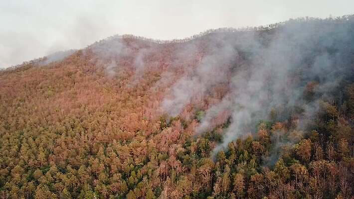 나무 구름 백그라운드 잎 자연 하늘 바람 산 안테나 국립공원 풍경 사람없음 야외 초록색 여름 계곡 안개 뜨거움 오염 연기 숲 위험 열대우림 언덕 먼지 항공촬영 드론 위기 재앙 절정 4K MP4 해외동영상 클립영상 자연요소 식물 계절 공원 뷰포인트 컬러 컨셉 통신 날씨 생태계 동영상 파일형식
