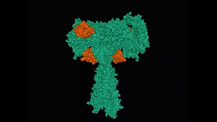 모양 모델 리본 컬러 과학 백그라운드 모션 표면 사람 사람없음 약 3D 검은색 질병 생명공학 만화 생물학 역동적 회전 애니메이션 단백질 당뇨병 복잡 인슐린 포도당 MP4 해외동영상 클립영상 교육 컨셉 의학 디지털합성 동영상 영양소 파일형식