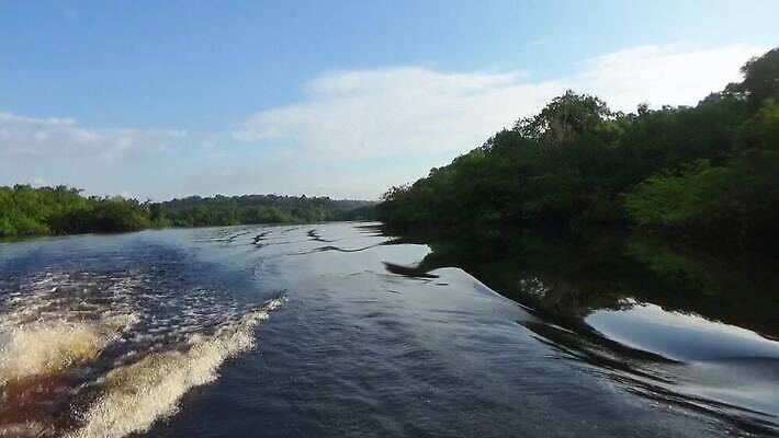 나무 호수 여행 자연 안테나 사람없음 초록색 물 강 환경 미국 개울 보호 습지 정상 숲 열대우림 에콰도르 대야 브라질 최초 남쪽 항공촬영 드론 랜드마크 볼리비아 아마존 이국적 페루 그리너리 브라질사람 MOV 해외동영상 클립영상 자연요소 식물 뷰포인트 컬러 컨셉 북아메리카 통신 아메리카 남아메리카 방향 생태계 동영상 파일형식 트랜드컬러