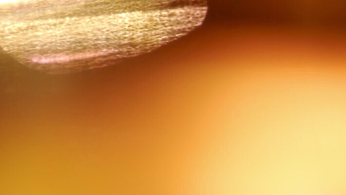 디자인 백그라운드 추상 따뜻함 사람없음 빛 컬러풀 반사 노란색 검은색 소리 필름 질감 덮기 닦기 느림 블러 진짜 광학 효과 4K 화면전환 MOV 해외동영상 클립영상 컬러 무늬 모션 동영상 파일형식