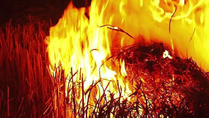 백그라운드 오렌지 모션 자연 벽지 불꽃 따뜻함 사람없음 빨간색 빛 노란색 검은색 힘 에너지 긴급 손전등 뜨거움 더위 야간 위험 모닥불 사건 묘사 벽난로 질감 매움 화재 연료 파열 연소 엘리먼트 점화 지옥 진짜 화상 4K HD MP4 해외동영상 클립영상 자연요소 컬러 컨셉 과일 불 날씨 조명 맛 상처 생태계 동영상 파일형식