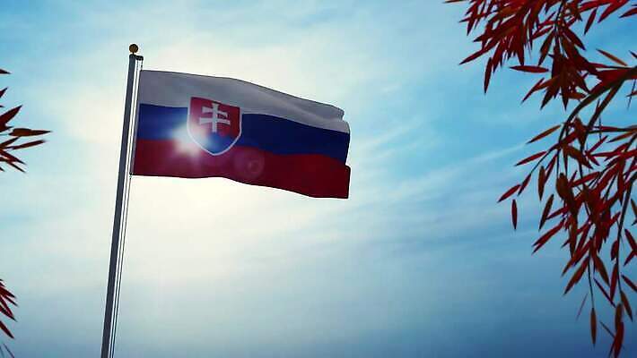 나무 배너 실루엣 물결 파도 백그라운드 하늘 바람 사람없음 그래픽 햇빛 태양 흐름 자유 깃발 불기 군용 만들기 지역 깃대 봉 애니메이션 동영상 애국심 명예 브라티슬라바 슬로바키아 전국 정부 통일 4K MOV 해외동영상 클립영상 자연요소 식물 유럽 바다 컨셉 모션 날씨 군대 촬영기법 파일형식