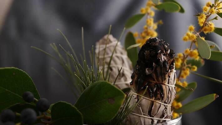 줄 요가 휴식 여러명 사람없음 치료 미국 에너지 약재 흰색 분위기 원주민 약초 샌들 신비 인도인 청소 명상 보따리 향기 냄새 신성 아로마테라피 연소 세이지 자연요법 정물화 4K MP4 해외동영상 클립영상 외국인 웰빙 컬러 다수 신발 컨셉 북아메리카 의학 사람 동양인 약 풀_식물 아프리카인 그림 테라피 동영상 파일형식