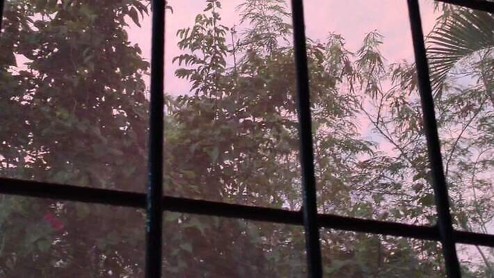 디자인 외관 벽 백그라운드 패턴 건축양식 창문 유리 표면 벽돌 주택 프레임 안전 사람없음 야외 건물 문 금속 수확 덮개 바위 흰색 도시 바 그릴 보호 천 철 버리기 묘사 질감 복고 보안 창살 망사 그런지 옛날 철강 4K MP4 해외동영상 클립영상 건축물 건축 컬러 컨셉 무늬 농업 모션 재질 주방용품 뚜껑 돌_바위 직물 동영상 파일형식