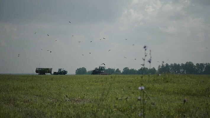 주간 구름 산업 지구 밭 농업 자연 풍경 사람없음 야외 여름 파란색 농작물 햇빛 농장 농경지 갈색 환경 기계 흙 장비 수확 농촌 시골 결합 낟알 땅 밀 수집 먼지 트랙터 동영상 내추럴 드론 밭일 줄서기 힘찬 세련 4K MOV 해외동영상 클립영상 자연요소 계절 컬러 컨셉 모션 곡류 태양 농기계 생태계 특수차량 파일형식