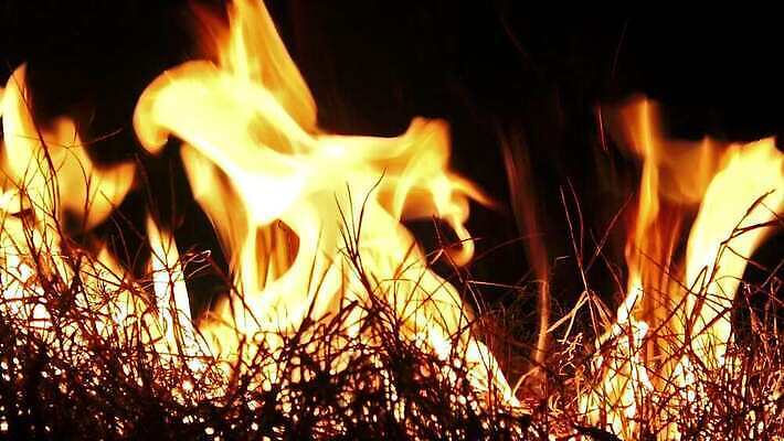 백그라운드 오렌지 모션 자연 벽지 불꽃 따뜻함 사람없음 빨간색 빛 노란색 검은색 힘 에너지 긴급 손전등 뜨거움 더위 야간 위험 모닥불 사건 묘사 벽난로 질감 매움 화재 연료 파열 연소 엘리먼트 점화 지옥 진짜 화상 4K HD MP4 해외동영상 클립영상 자연요소 컬러 컨셉 과일 불 날씨 조명 맛 상처 생태계 동영상 파일형식