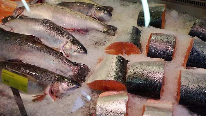 동물 음식 다이어트 낚시 선반 건강 노르웨이 육류 어류 스테이크 요리 사람없음 빨간색 쇼핑 판매 세일 상점 주방 냉동 얼음 저녁식사 추위 죽음 신선 잡기 그룹 시장 맛 구매 시원함 먹기 해산물 메뉴 준비 날것 연어 어장 슈퍼마켓 점심식사 맛있는 4K MOV 해외동영상 클립영상 자연요소 유럽 컬러 가구 컨셉 식재료 모션 레저 서양음식 식사 수중동물 동영상 파일형식