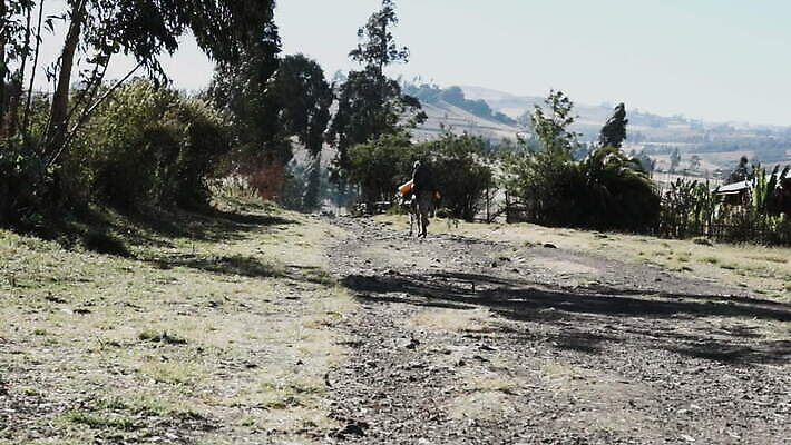 전통 여자 음료 어린이 교통시설 아프리카 건조 통 이집트 사람 사람없음 물 마을 산책 사막 시골 작업 양동이 지역 당나귀 에티오피아 MOV 해외동영상 클립영상 자연요소 나라 교통 휴식 말_동물 시설 동영상 파일형식