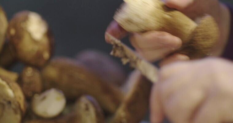 손 여자 음식 버섯 신선 그룹 칼 작음 큼 왕 청소 준비 먼지 곰팡이 그물버섯 번 페니 많음 4K MOV 해외동영상 클립영상 빵 컨셉 사람 신체부위 동전 크기 동영상 파일형식