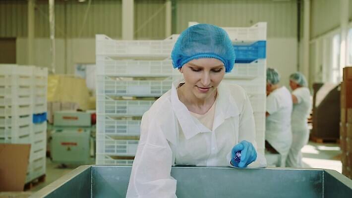 직업 여자 산업 유니폼 공장 노동자 기술 사탕 한명 기계 장비 제조 종업원 확인 탱크 짐싸기 운영자 자동 제어 4K MOV 해외동영상 클립영상 1 옷 공업 디저트 사람 동영상 파일형식