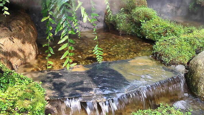 나무 식물 라이프스타일 단풍 태국 자연 날씨 사람없음 야외 물 강 마을 환경 침묵 봄 폭포 농촌 시골 연못 신선 개울 붓기 민물 핸드메이드 MOV 해외동영상 클립영상 자연요소 계절 아시아 잎 모션 생활 소리 생태계 동영상 파일형식