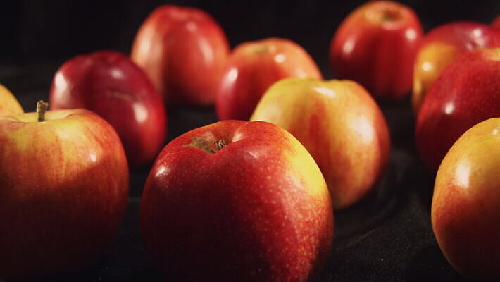 음식 컬러 컨셉 다이어트 채소 과일 자연 건강 사람없음 빨간색 노란색 정원 검은색 주스 신선 달콤 사과 먹기 순수 오브젝트 유기농 내추럴 고립 똑같은 숙성 오리지널 채식주의자 특별함 4K MOV 해외동영상 클립영상 웰빙 음료 모션 맛 생태계 채식 동영상 파일형식