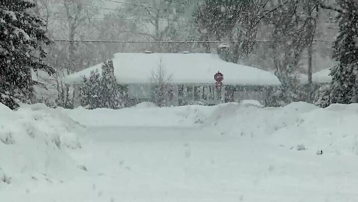 나무 계절 도로 조각 겨울 자연 바람 날씨 거리 주택 사람없음 야외 환경 냉동 얼음 추위 덮개 흰색 도시 보행로 위험 지역 폭풍 타운 이웃 눈보라 축적 심각 엘리먼트 폭설 MP4 해외동영상 클립영상 자연요소 식물 길 컬러 컨셉 교통시설 눈_날씨 건물 뚜껑 자연재해 생태계 동영상 파일형식