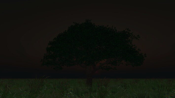 나무 식물 실루엣 컬러 여행 백그라운드 밭 오렌지 자연 벽지 하늘 아침 파노라마 그림자 풍경 초원 사람없음 야외 초록색 여름 파란색 햇빛 태양 농장 노란색 일출 환경 어둠 일몰 봄 안개 시골 황금 호주 장면 수평선 4K MOV 해외동영상 클립영상 주간 자연요소 계절 농업 과일 날씨 촬영기법 노을 오세아니아 생태계 동영상 파일형식