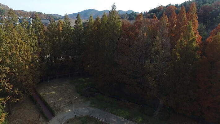 나무 디자인 공원 도로 여행 백그라운드 건축양식 하늘 아침 새로움 산 한국 안테나 사람없음 야외 건물 물 파란색 빛 강 흰색 시골 도시 고속도로 정상 작음 일반 남쪽 넘어짐 다음 드론 랜드마크 4K MOV 해외동영상 클립영상 주간 자연요소 식물 건축물 공공시설 건축 아시아 길 컬러 컨셉 통신 교통시설 모션 크기 방향 동영상 파일형식