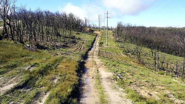 나무 구름 도로 길 여행 자연 하늘 불 산 안테나 풍경 사람없음 야외 초록색 파란색 햇빛 갈색 환경 계곡 전선 흰색 호주 숲 땅 전화기 먼지 암초 동영상 드론 선로 4K MP4 해외동영상 클립영상 자연요소 식물 컬러 통신 교통시설 태양 오세아니아 생태계 파일형식