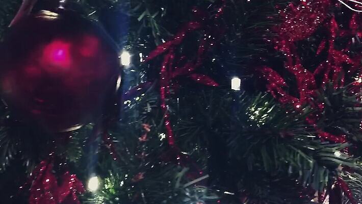 나무 외관 유럽 여행 크리스마스 건축양식 창문 교통시설 호텔 휴가 거리 사람없음 건물 장식 쇼핑 여행객 상점 식당 도시 역사 고급 도심 벨기에 타운 대도시 일반 구시가지 랜드마크 부티크 브뤼셀 유럽연합 전국 MOV 해외동영상 클립영상 식물 건축물 기념일 건축 나라 교통 컨셉 숙소 사람 시설 동영상 서유럽 파일형식