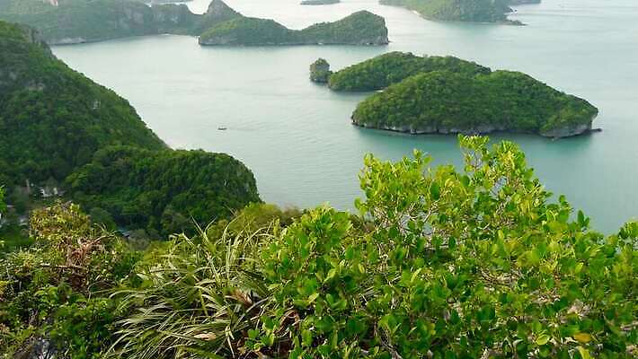 공원 아시아 바다 섬 여행 백그라운드 태국 휴가 열대 산 안테나 파노라마 풍경 사람없음 물 여름 파란색 여행객 맑음 전원 만 숲 열대우림 언덕 암초 석호 내추럴 가죽끈 이국적 전국 파라다이스 4K MP4 해외동영상 클립영상 자연요소 계절 공공시설 나라 컬러 통신 날씨 촬영기법 사람 끈 전기에너지 가죽 동영상 파일형식