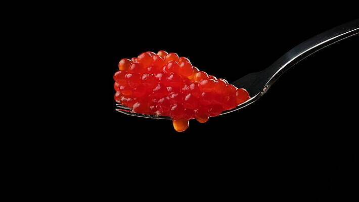 음식 바다 포크 오렌지 재료 공 건강 어류 사람없음 빨간색 금속 검은색 식사 흐름 신선 고급 아침식사 해산물 날것 연어 점심식사 절임 짠맛 캐비아 맛있는 4K MOV 해외동영상 클립영상 식기 컬러 컨셉 과일 식재료 재질 수중동물 맛 동영상 파일형식