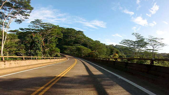 주간 도로 섬 여행 곡선 자연 휴가 열대 산 사람없음 야외 초록색 운전 고속도로 하와이 내추럴 굴곡 하와이인 1인칭시점 4K MOV 해외동영상 클립영상 자연요소 외국인 시선 길 선 컬러 교통시설 모션 미국 생태계 동영상 파일형식