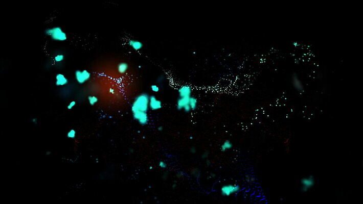 디자인 백그라운드 모션 상상 벽지 추상 미래 미술 사람없음 그래픽 파란색 빛 컬러풀 디지털 검은색 흐름 에너지 입자 역동적 공상 마법 애니메이션 광 혼란 스타일 더스트파티클 획기적 MOV 해외동영상 클립영상 컬러 컨셉 무늬 문화예술 동영상 파일형식