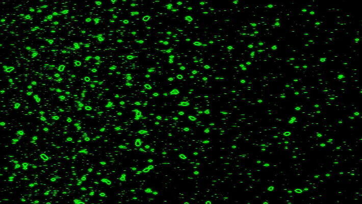 별 백그라운드 모션 사람없음 컴퓨터그래픽 뷰티 램프 속도 심플 애니메이션 모기 블러효과 더스트파티클 MOV 해외동영상 클립영상 자연요소 조명 그래픽 해충 동영상 블러 파일형식 효과