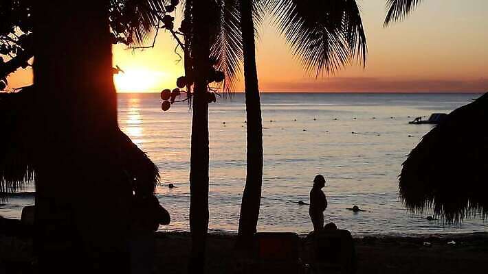 나무 라이프스타일 실루엣 모래 파도 바다 섬 여행 백그라운드 자연 하늘 휴가 휴식 손바닥 사람 사람없음 야외 물 파란색 햇빛 태양 일출 일몰 낭만 만 고급 저녁 휴양지 바하마 이국적 파라다이스 수평선 4K MP4 해외동영상 클립영상 자연요소 식물 손 컬러 컨셉 촬영기법 생활 노을 장소 야간 생태계 동영상 파일형식