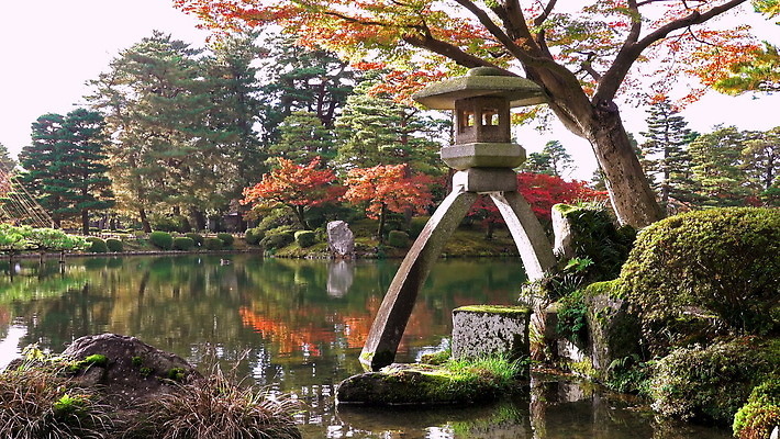 나무 식물 전통 계절 공원 아시아 호수 여행 단풍 잎 오렌지 자연 하늘 풍경 사람없음 야외 빨간색 초록색 물 도시풍경 컬러풀 뷰티 정원 일본 가을 바위 등불 연못 재산 숲 내추럴 랜드마크 4K MOV 해외동영상 클립영상 자연요소 공공시설 나라 컬러 과일 조명 금융 돌_바위 도시 생태계 동영상 파일형식